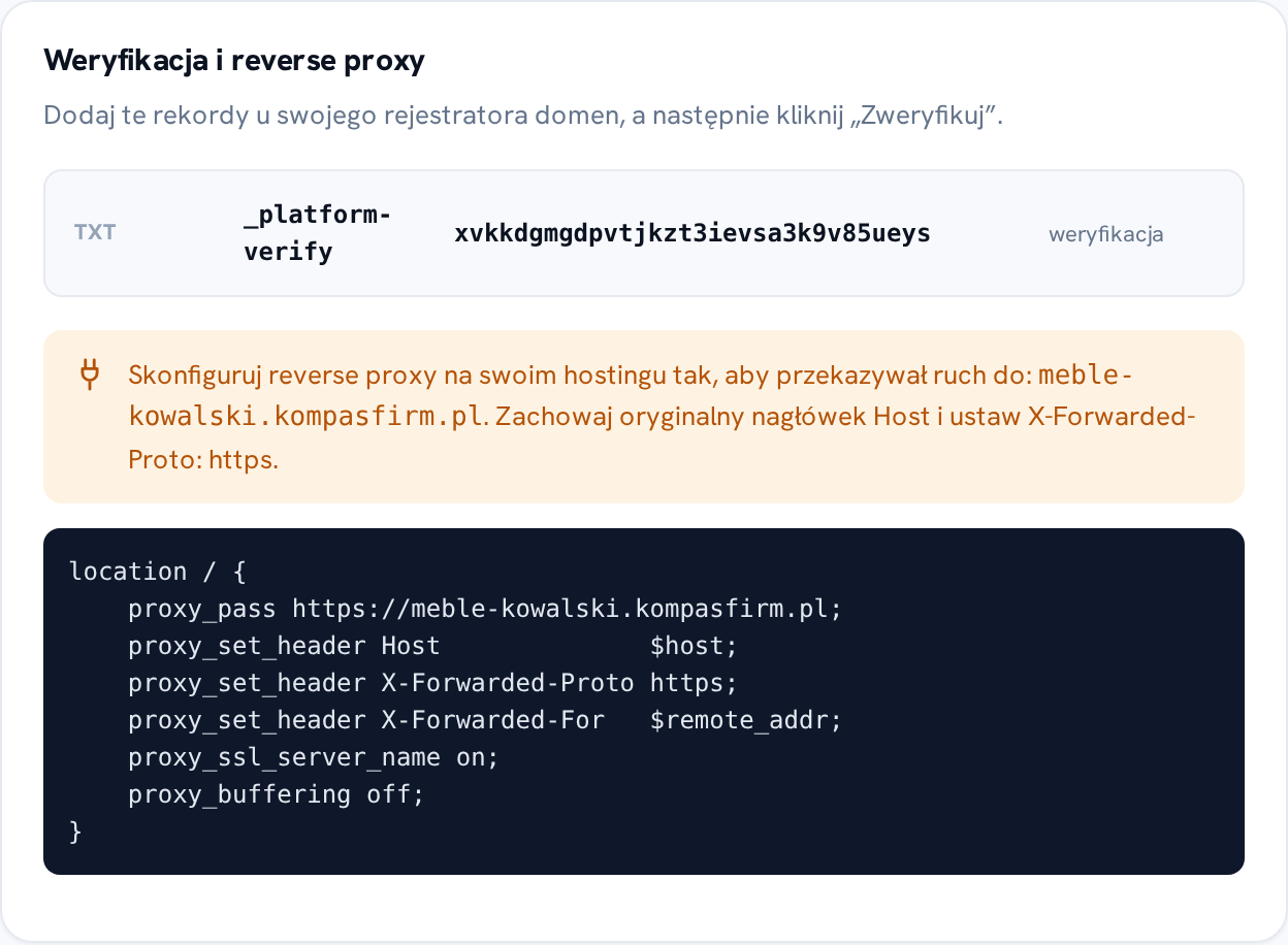 Karta w panelu z rekordem TXT do weryfikacji własności domeny